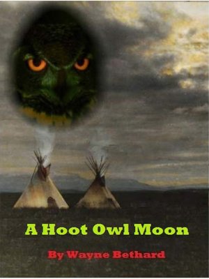 cover image of A Hoot Owl Moon